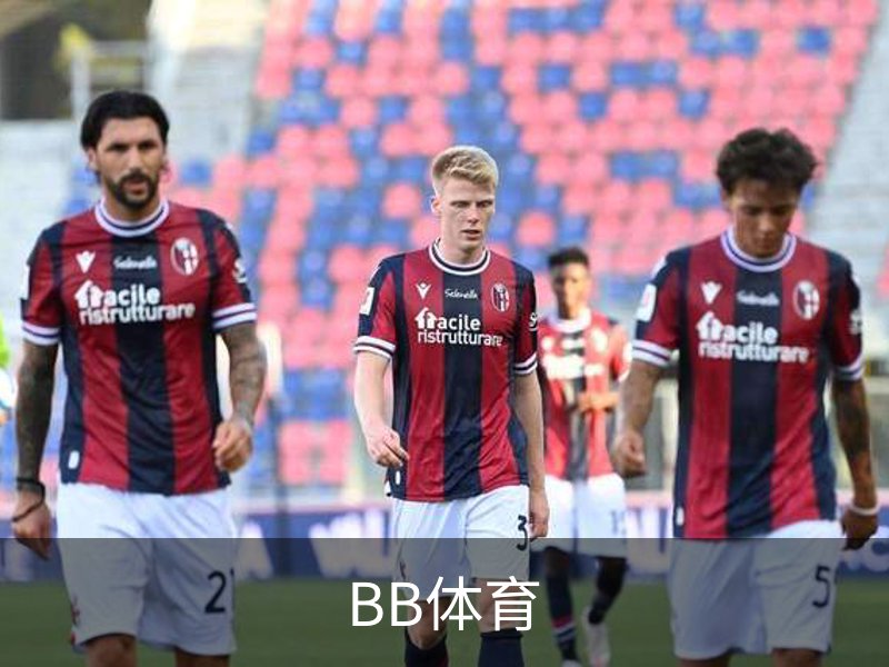 BB体育简介